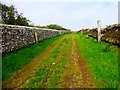 Track Towards Hoxa Hill