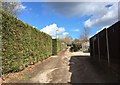 Newcastle-under-Lyme: track between Victoria Road and Lancaster Road