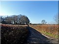 Lane to Beacon Farm