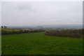 Looking down the north slope of Worminster Down