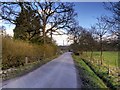 Looking along Newgate Road