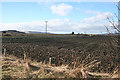 Ploughed Field near Leys of Dummuies