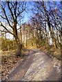 Path Round the Lake