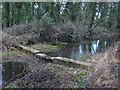 Old sluice, River Ash