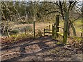 Stile and Footpath, Saltersley Moss