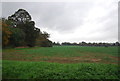 Farmland, Culpho Hall