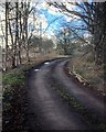 Track near Saltersley Hall Farm