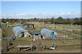 Allotments near Stoke Works