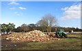 Logpile on the Common