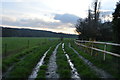 Track, Lyne Farm