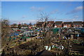 Allotments off Leads Road, Hull