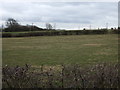 Grazing, East Lound