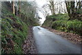 Road at Luckie Hargs Brae