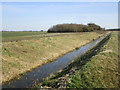 Catchwater Drain, Ewerby Fen