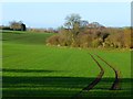 Farmland, Wootton Rivers