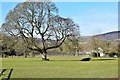 Downton House Cricket Pitch