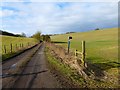 Farm road and farmland, Great Shefford