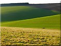 Farmland, Great Marlow