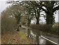 Gambles Lane after heavy rain