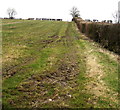 Public footpath NE of Llantrisant Road near Radyr Cardiff