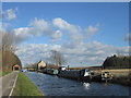 Approaching Forest Middle Top Lock