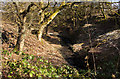 A stream at Raikes, off Tottington Road