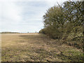 Footpath to Ashfield past Upham House