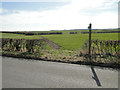 Footpath to Hatherleigh Farm