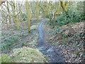 The Calderdale Way in North Dean Wood