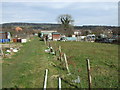 Allotments, Old Whittington 