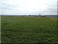 Farmland east of New Whittington