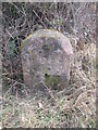 Milestone - Worcester Cross 9