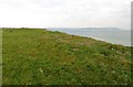 SZ2492 : Daisy covered clifftop at Barton on Sea by Steve Daniels