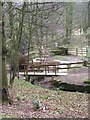 Footbridge in Upper Dearne Woods