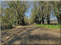 Footpath by Sudbourne Hall