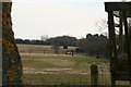 Minting: view between a tree and a hay rack