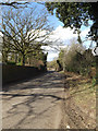 TM0478 : B1113 The Street, Redgrave by Geographer