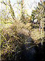 TM0378 : Little Ouse River at Crackthorn Bridge by Geographer