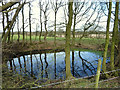 Pond close to footpath between Town Lane and Wood Lane, Heskin