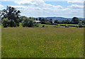 Countryside at Lower Broadheath