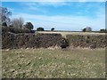 Footpath near Hedgefield Farm