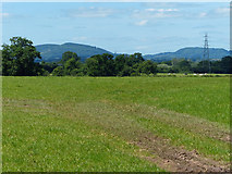 SO7856 : Farmland near the Lingens Farm by Mat Fascione