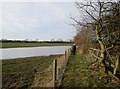 A  very  wet  field  alongside  a  footpath  to  Beverley