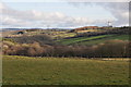 West Somerset : Countryside Scenery