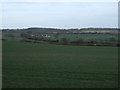 Crop field near Beck Farm