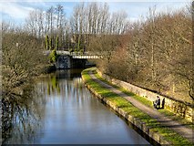 SD8332 : Leeds and Liverpool Canal, North of Westgate by David Dixon