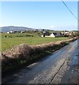 Pasture land between Cottage Road and Clontigora Road, Killeen