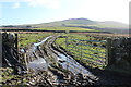 Farm Track near Chapelton