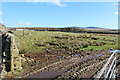 Farmland near Balloch Wood