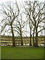 ST7465 : Bath, plane trees by Mike Faherty